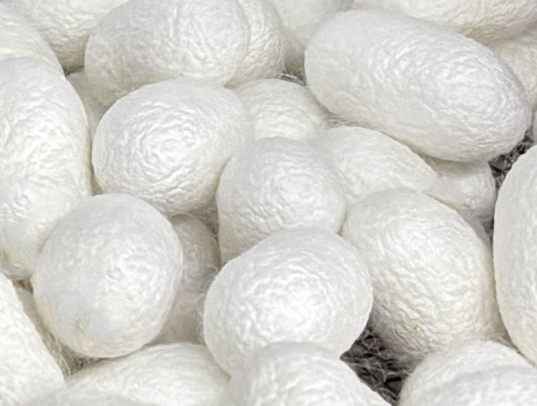 ISILK LOCAL & MATERIAL