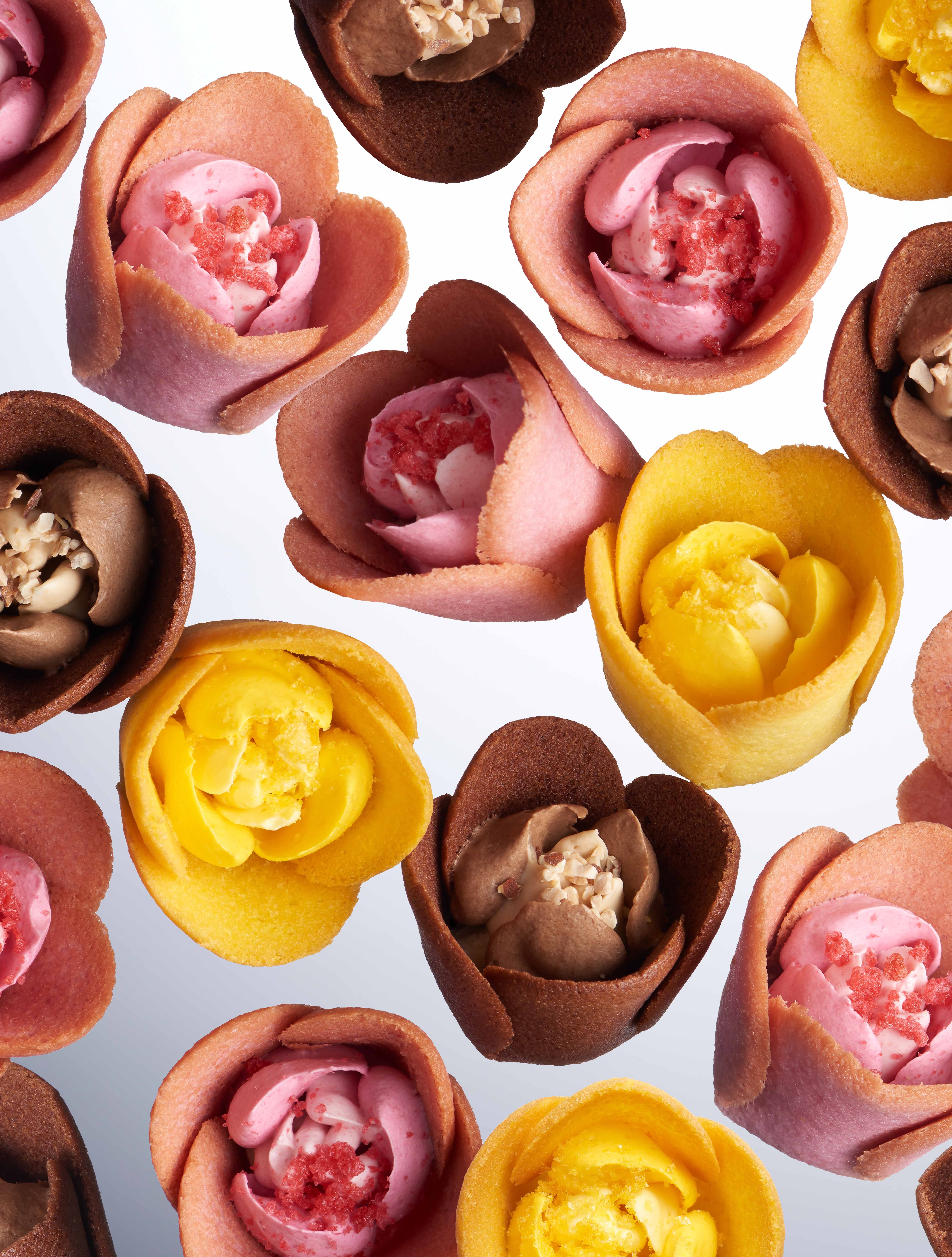 TULIP ROSE petit gateau